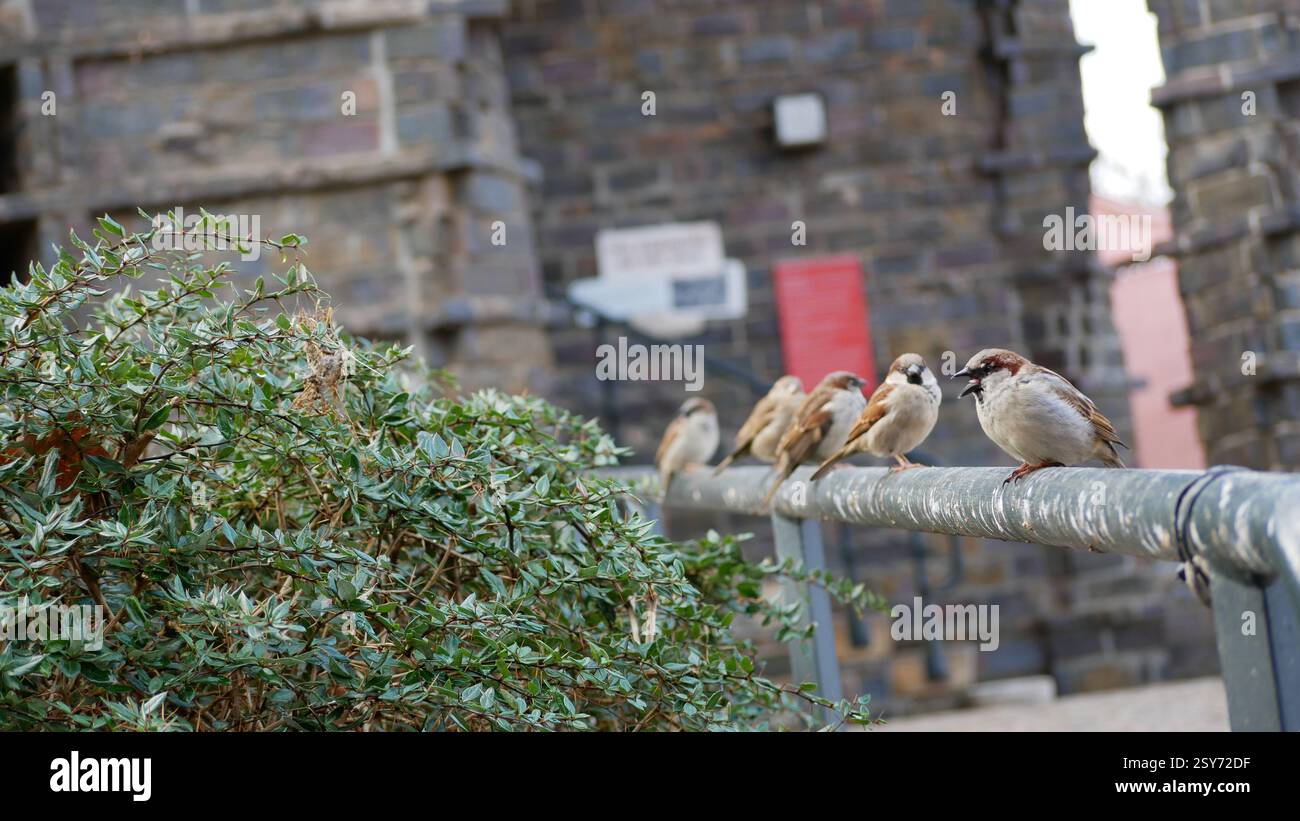 Native wildlife zoo hi-res stock photography and images - Alamy