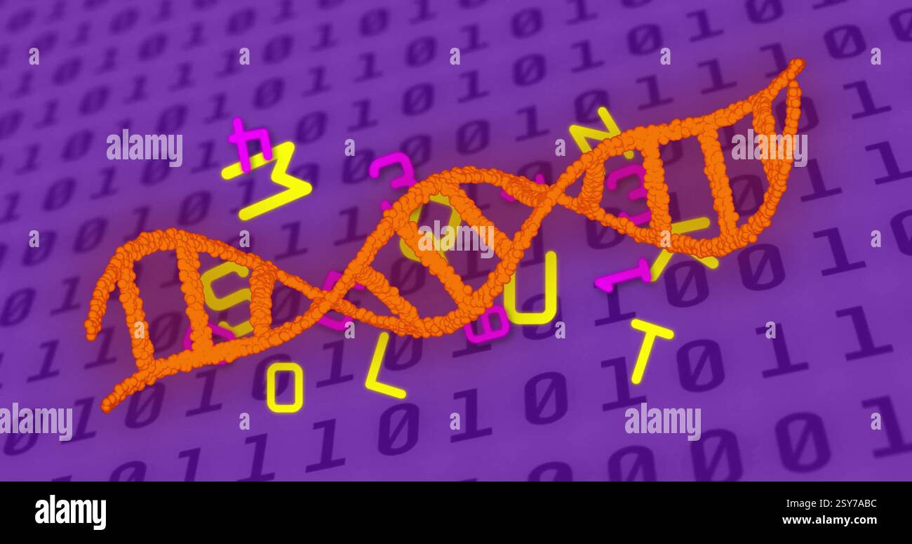 Image of dna strand, binary coding and data processing over purple background Stock Photo