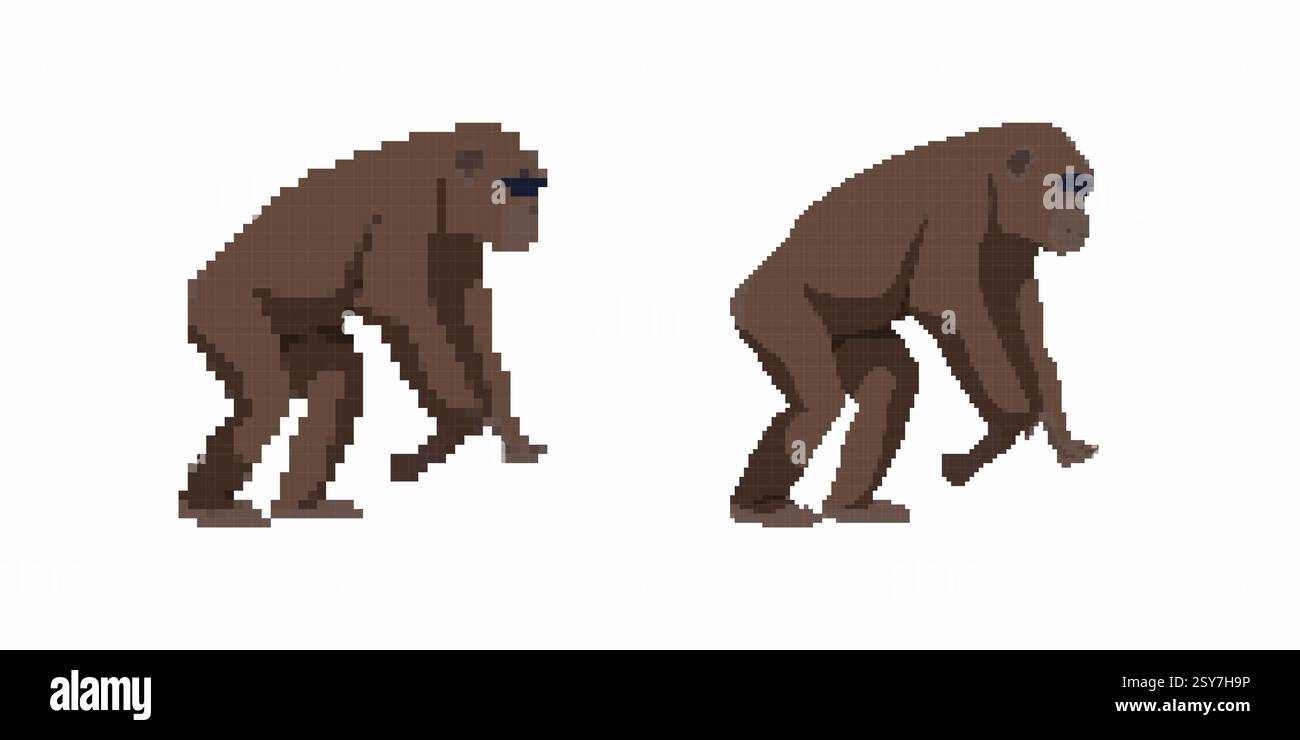Evolution of ape to human represented in retro pixel art style Stock ...