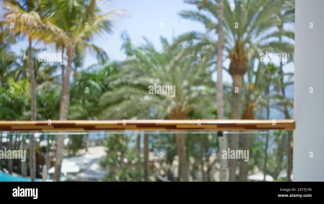 Blurred tropical resort scene featuring defocused palm trees and blurry ...
