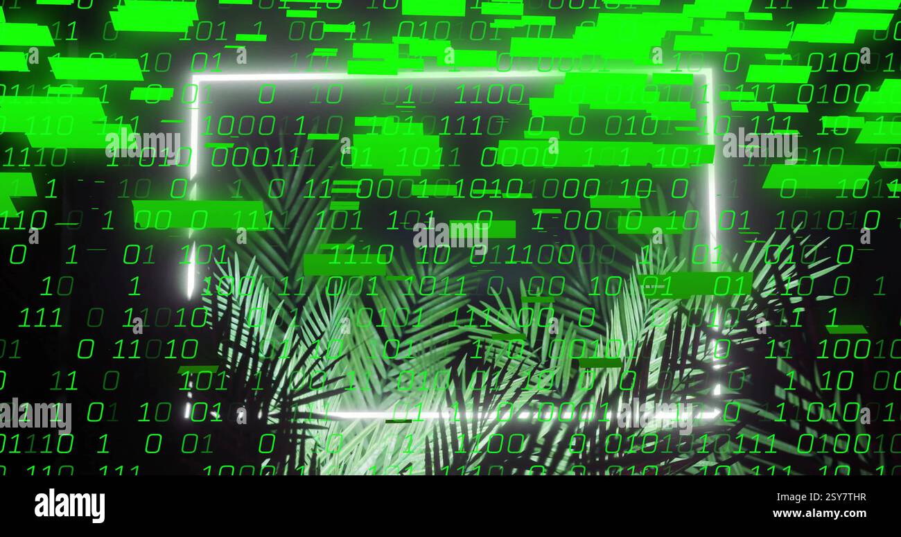 Binary code and data processing image over tropical palm leaves Stock ...