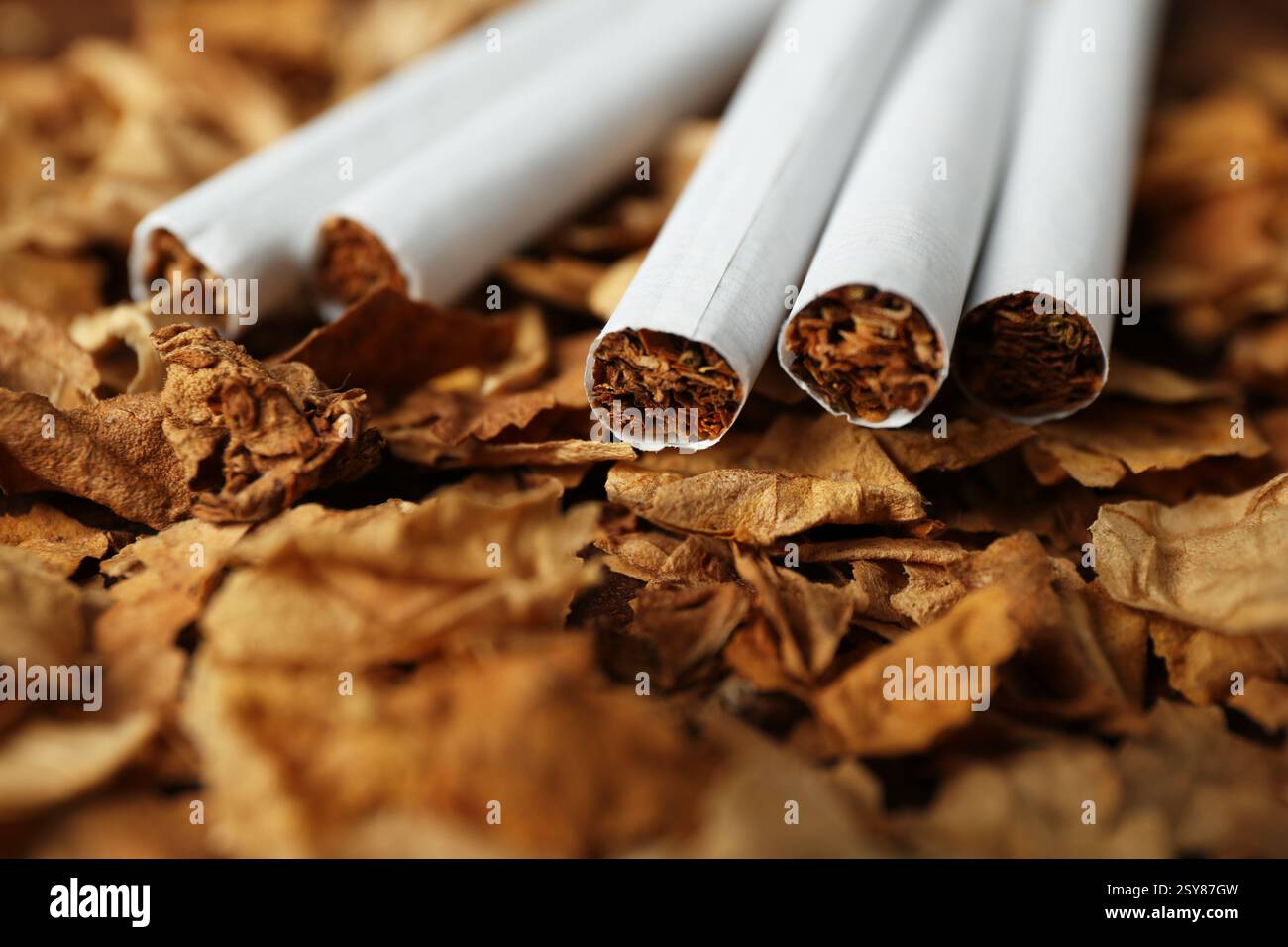 shredded tobacco leaves How do you shred your whole leaf? Shredded tobacco hi-res stock photography