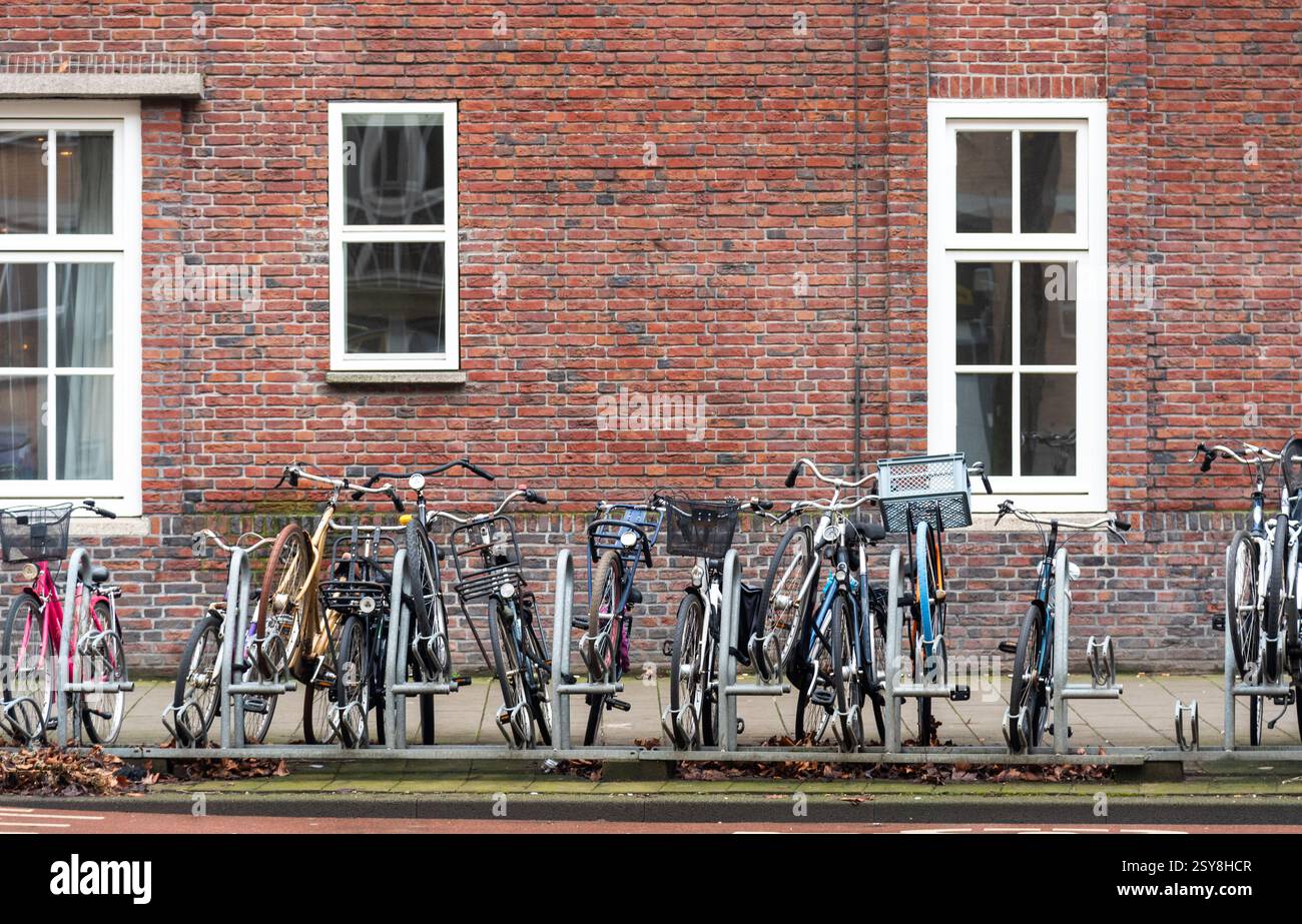 Many bicycles are parked in front of a brick wall building with white windows. Bicycle parking lot Stock Photo