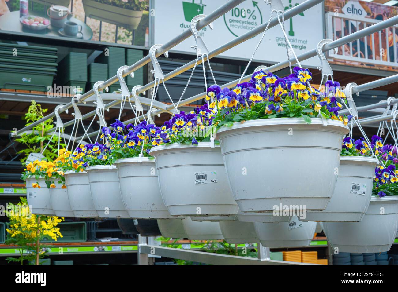 Hanging baskets and garden hi-res stock photography and images - Alamy
