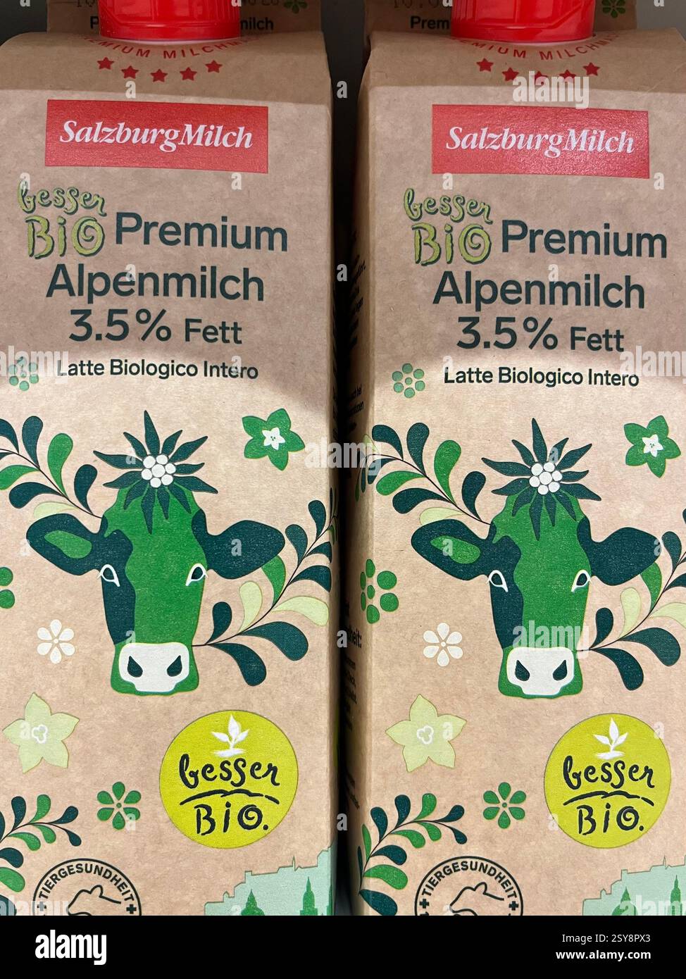 Premium Alpenmilch Bio cow milk by Salzburg Milch on grocery store shelf, organic dairy product from Austria with quality label and Alpine origin - Smartphone Captured Stock Image