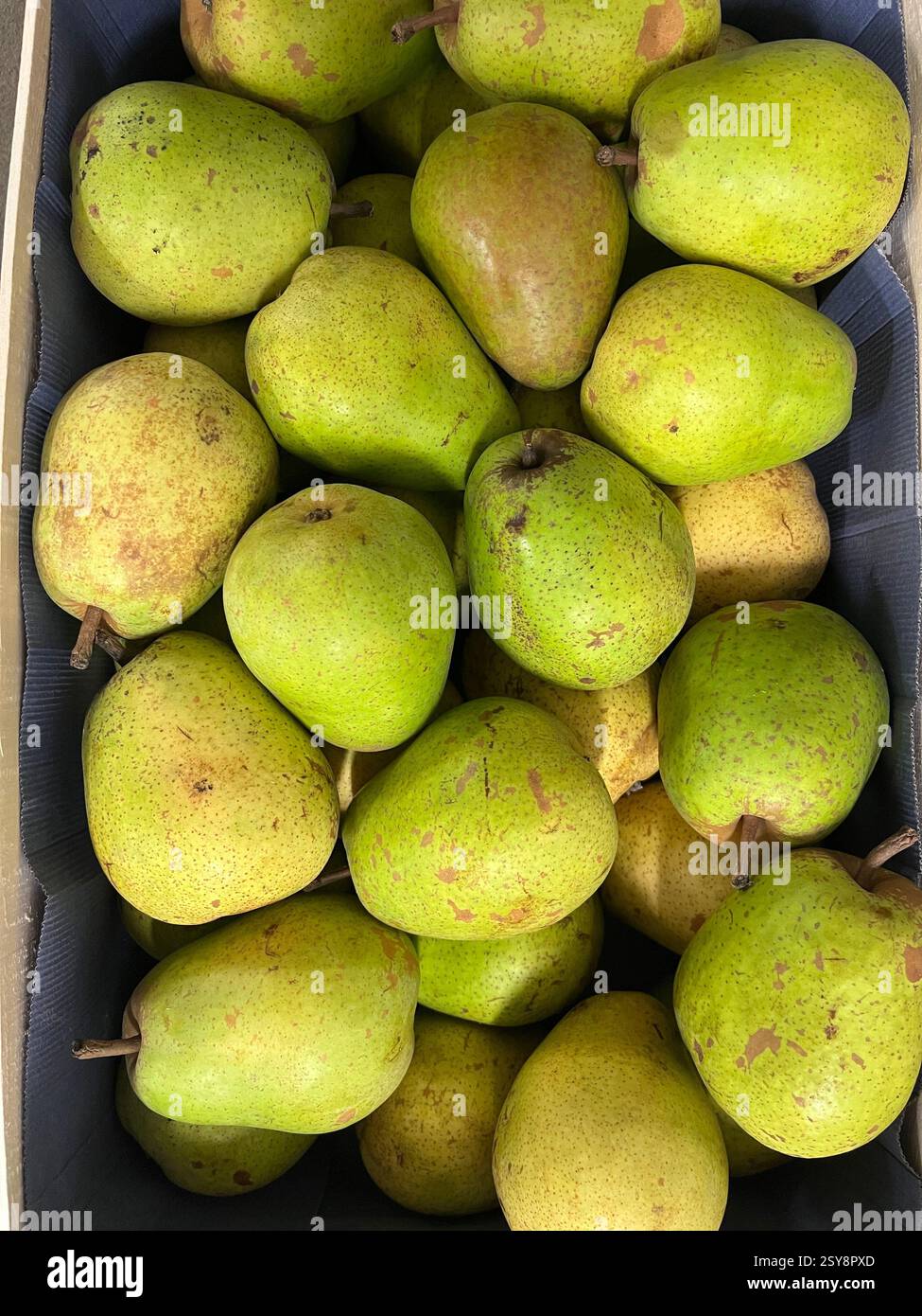 Top view of fresh Lucas pears in a crate at grocery store, shopping, consumerism, seasonal fruits, - Smartphone Captured Stock Image
