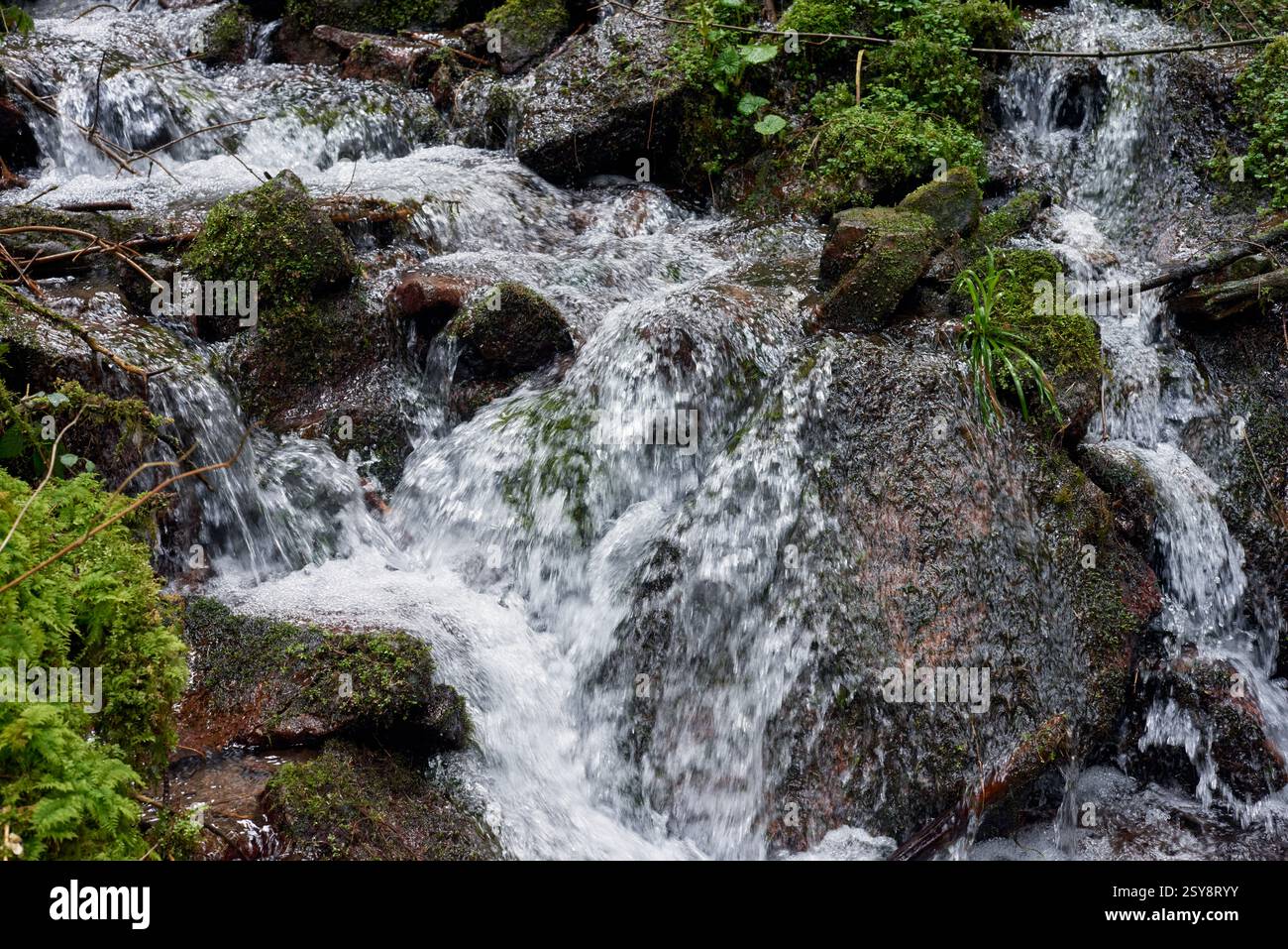 Rough mountain river with rocky shores, original rock configuration on ...