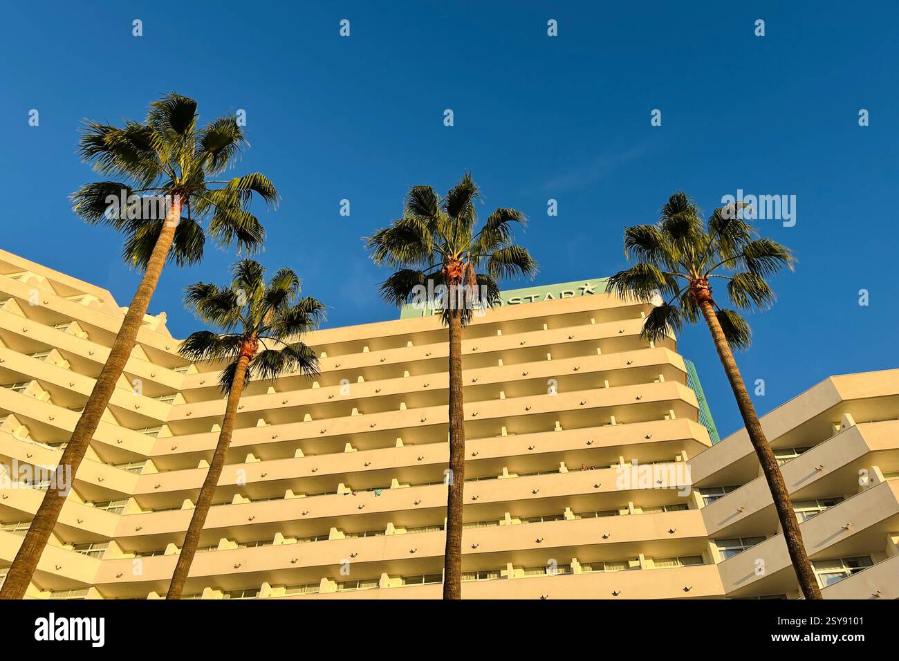 Tall Palm Trees in front of the Iberostar Waves Bouganville Playa Hotel. Costa Adeje, Tenerife, Canary Islands, Spain. - Smartphone Captured Stock Image