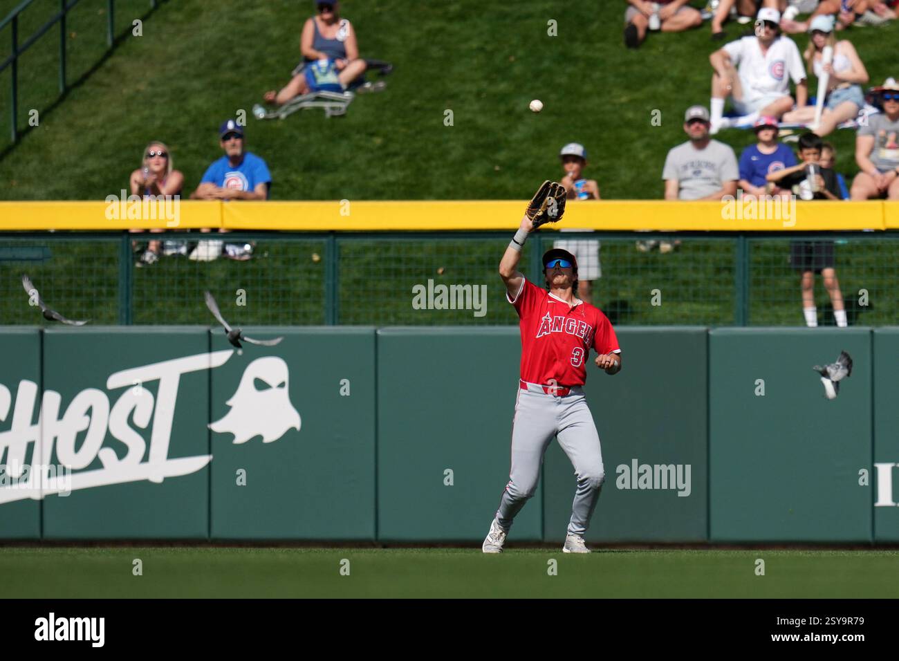 Los Angeles Angels Center Fielder Bryce Teodosio Battles The Sun And Los Angeles Angels Center Fielder Bryce Teodosio Battles The Sun And Flying Pigeons To Make A Catch On A Fly Ball Hit By Chicago Cubs Kyle Tucker During The Sixth Inning Of A Spring Training Baseball Game Thursday Feb 27 2025 In Mesa Ariz Ap Photoross D Franklin 2SY9R79