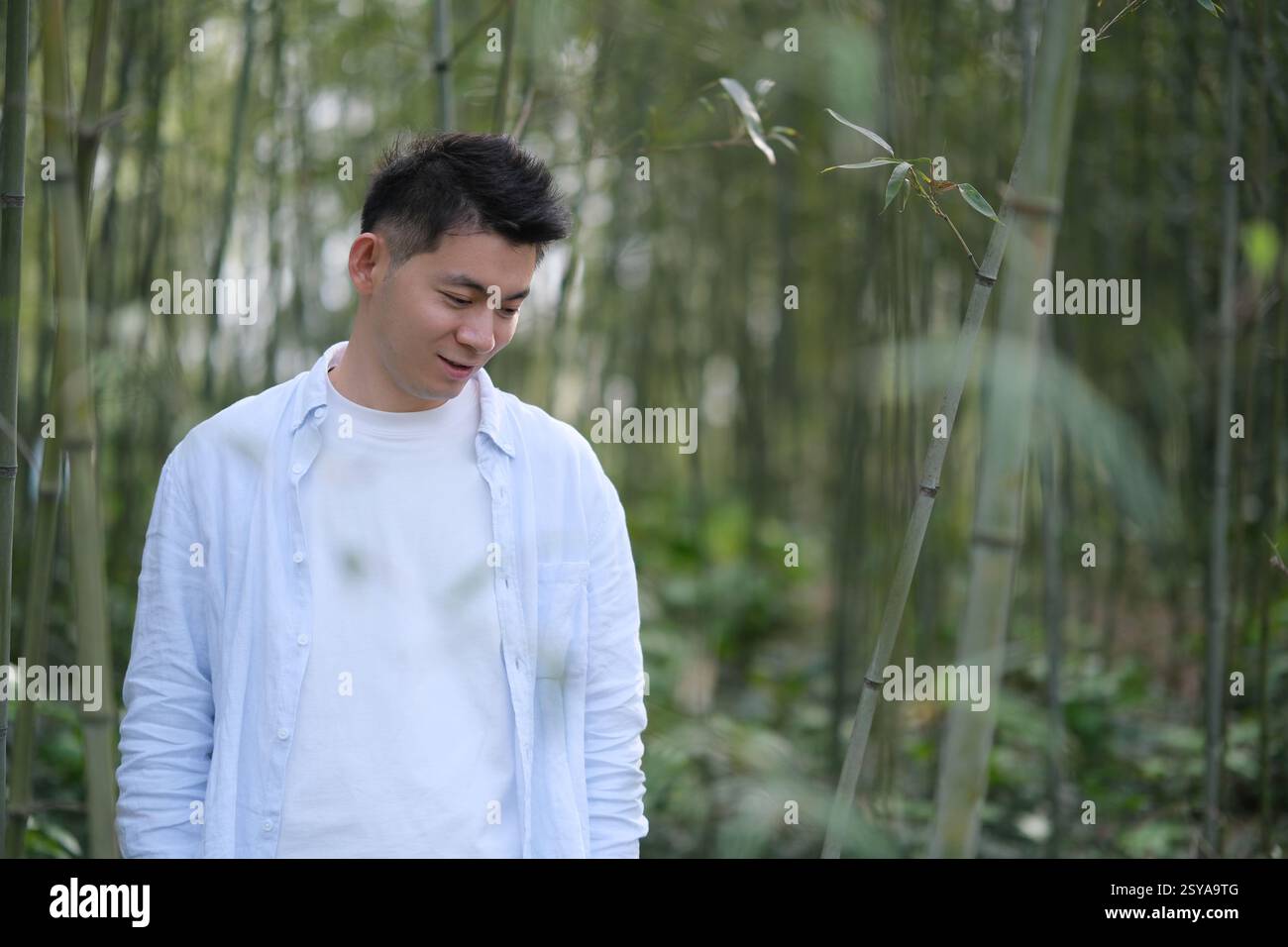 Asian young man at bamboo grove, looking down Stock Photo