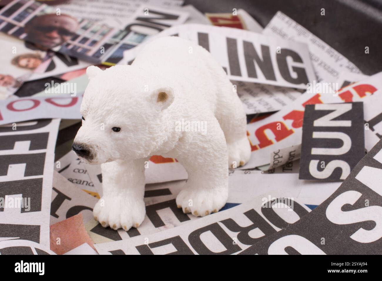 Polar bear on cut newspaper titles Stock Photo