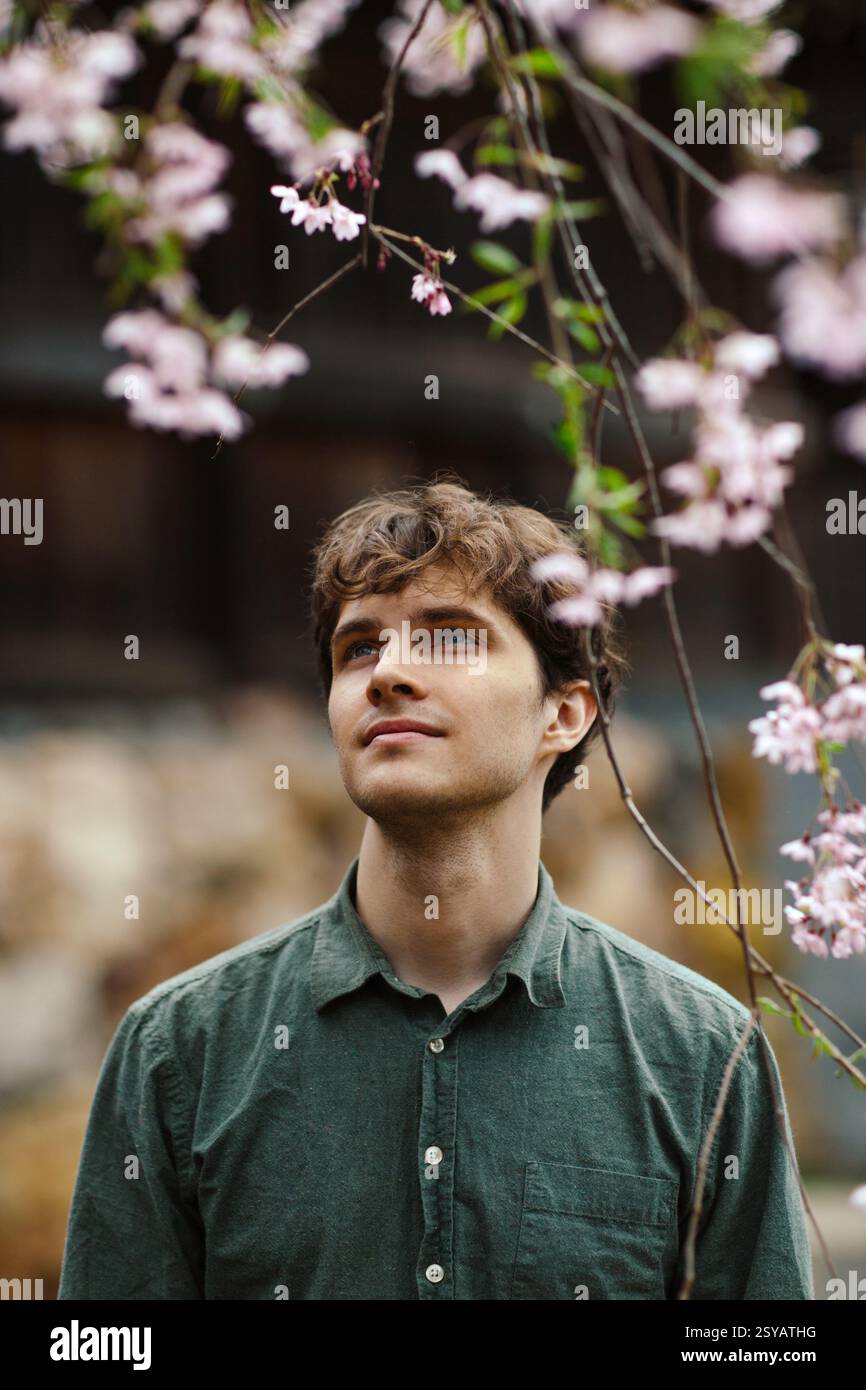 Springti A man gazes upward, admiring cherry blossoms during Japan's sakura ...