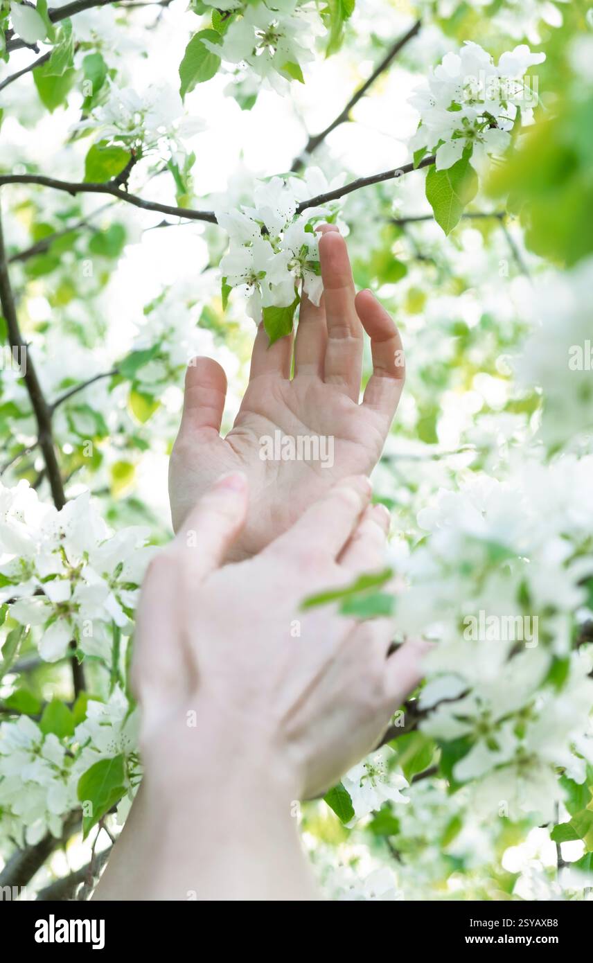 Woman touching crop exploring hi-res stock photography and images - Alamy