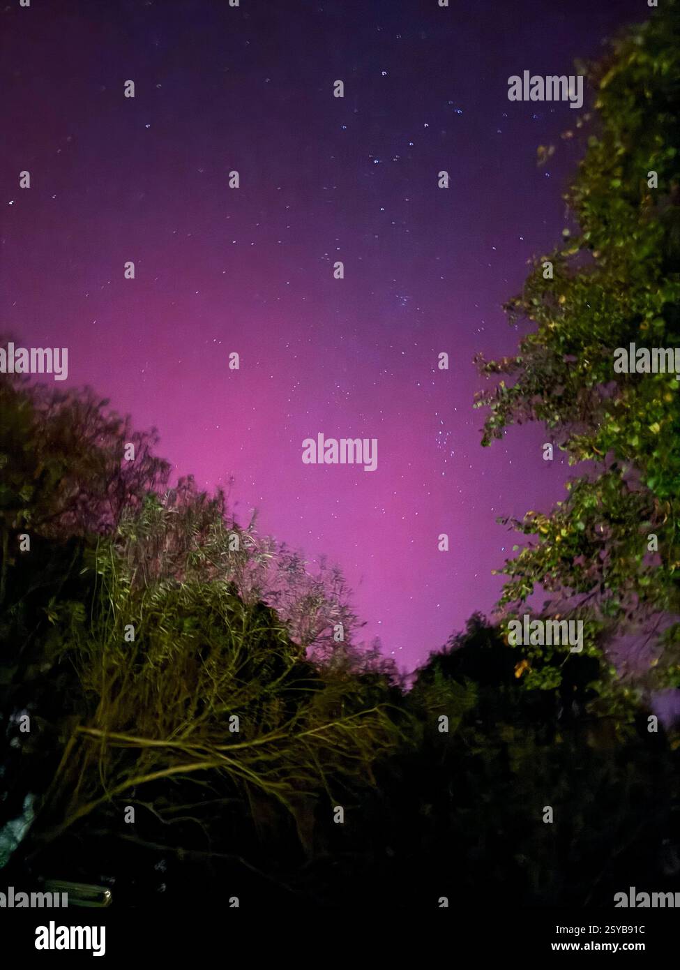 Northern lights in the UK a rare sight - Smartphone Captured Stock Image