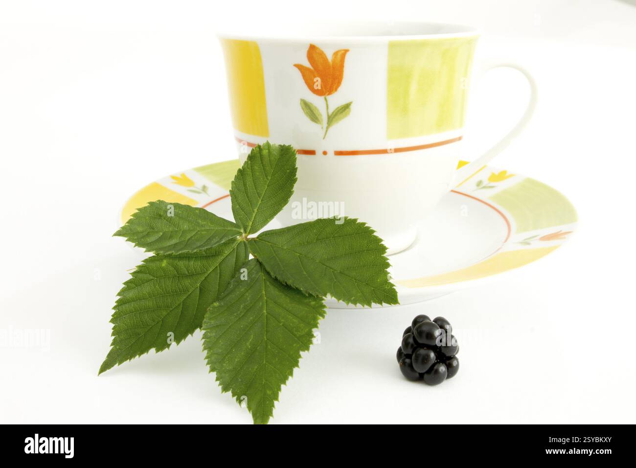 Rubus Tea Blackberry tea (Rubus fruticosus Stock Photo - Alamy