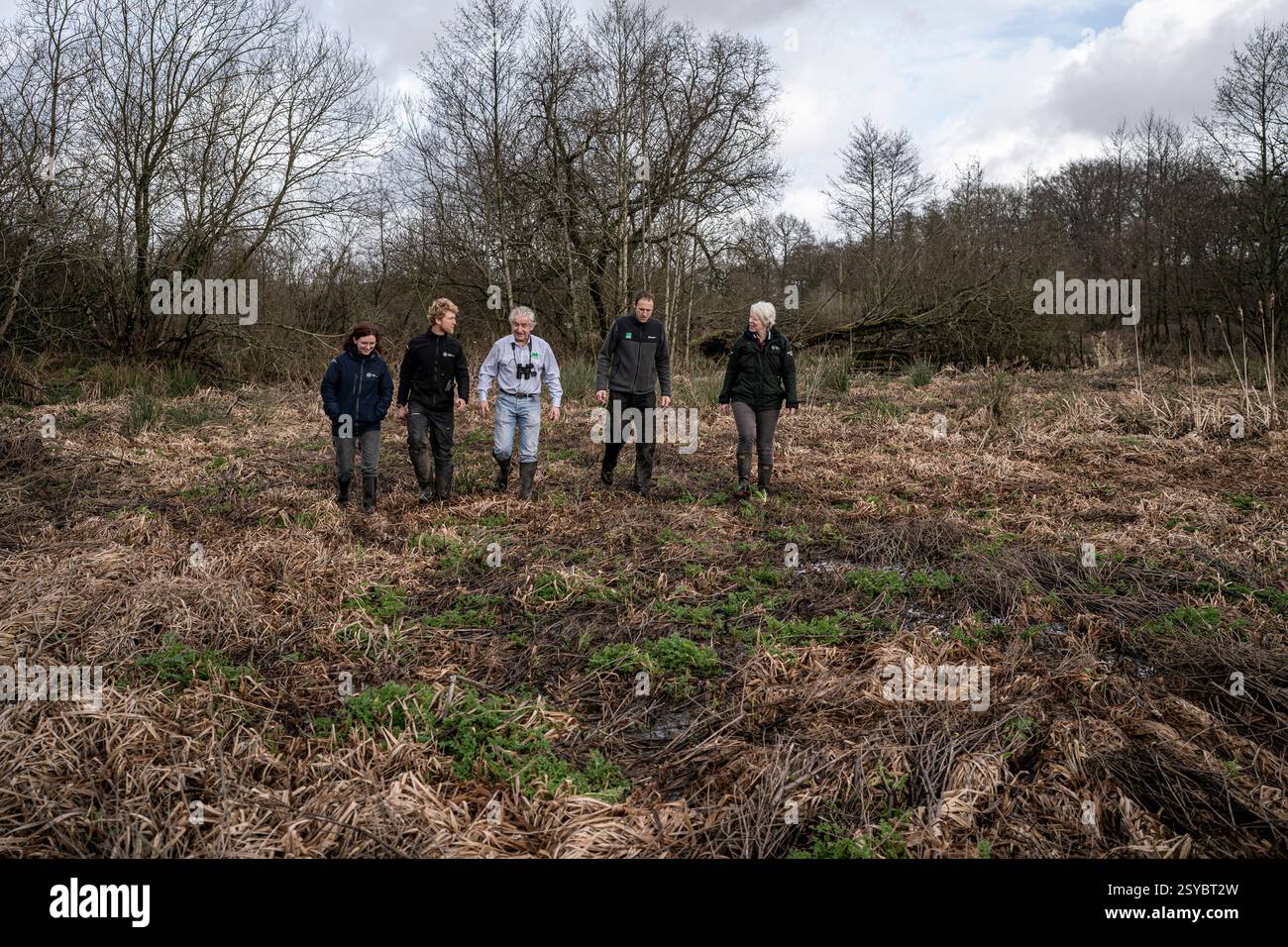 People walk through the boggy ground at the beaver wetlands area near Cullompton, Devon. The Government is giving the green light to wild releases of beavers in England, in a 'critical milestone' for efforts to restore nature. Picture date: Monday February 24, 2025. Stock Photo