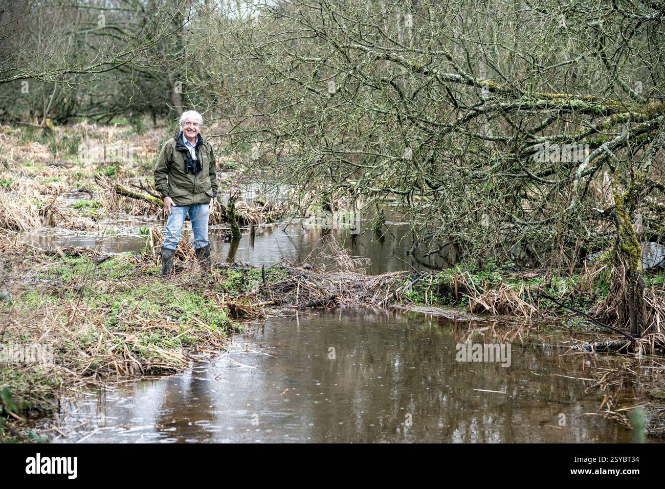 Natural England chairman, Tony Juniper, next to a dam at the beaver wetlands area near Cullompton, Devon. The Government is giving the green light to wild releases of beavers in England, in a 'critical milestone' for efforts to restore nature. Picture date: Monday February 24, 2025. Stock Photo