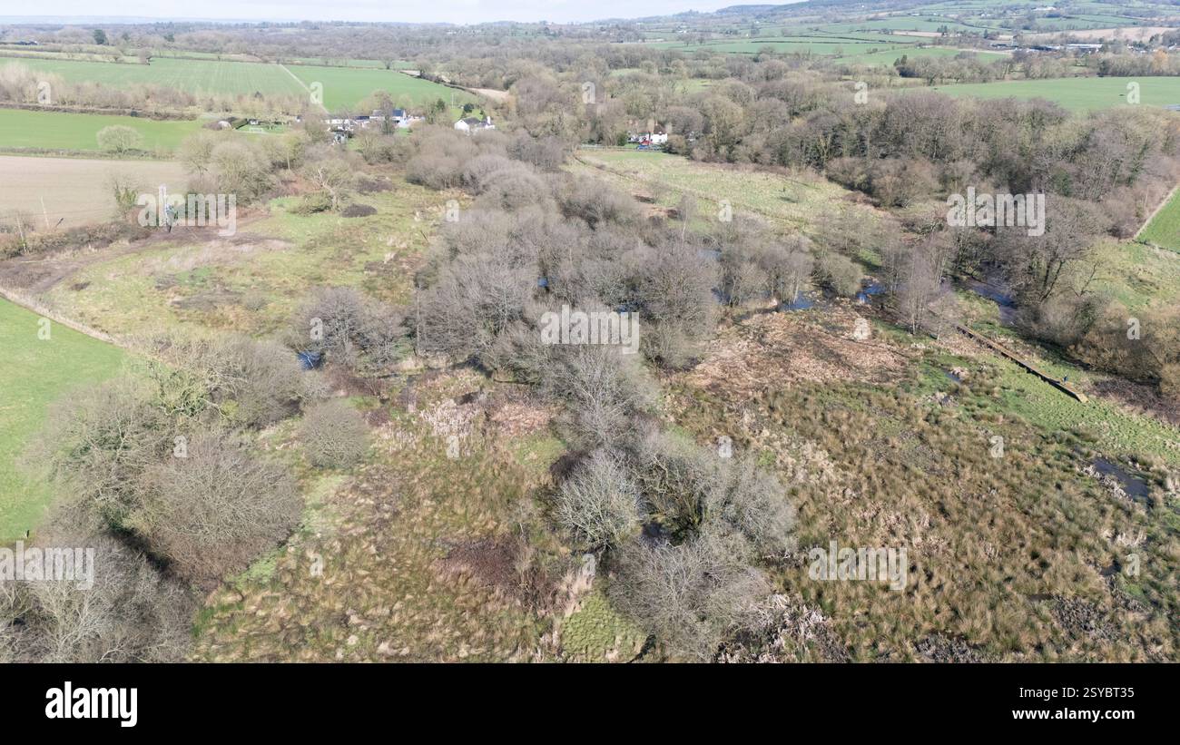 A general view of the beaver wetlands area near Cullompton, Devon. The Government is giving the green light to wild releases of beavers in England, in a 'critical milestone' for efforts to restore nature. Picture date: Monday February 24, 2025. Stock Photo