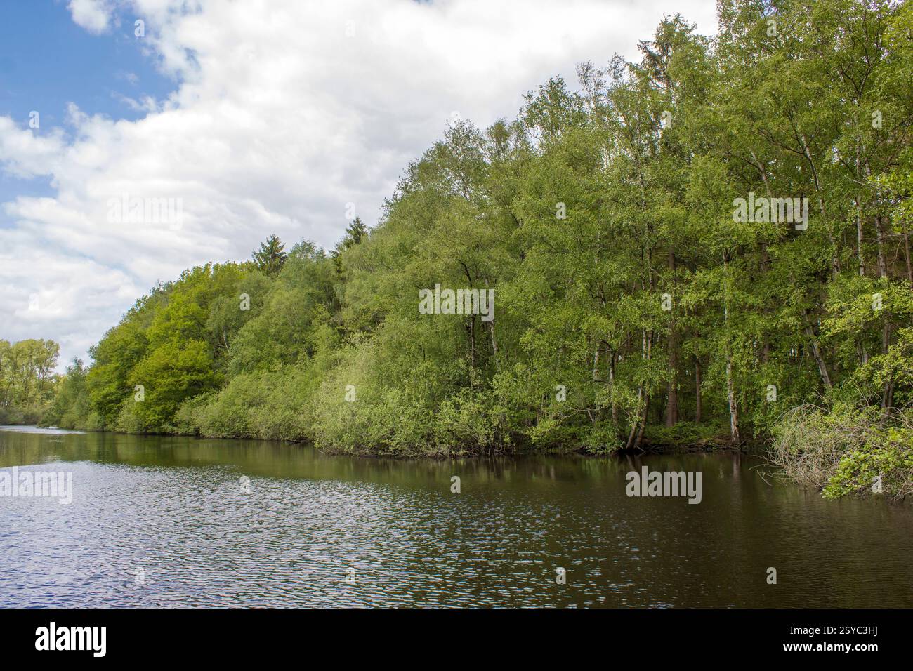 Outre Rhin Beautiful lower rhine summer hi-res stock photography and images - Alamy