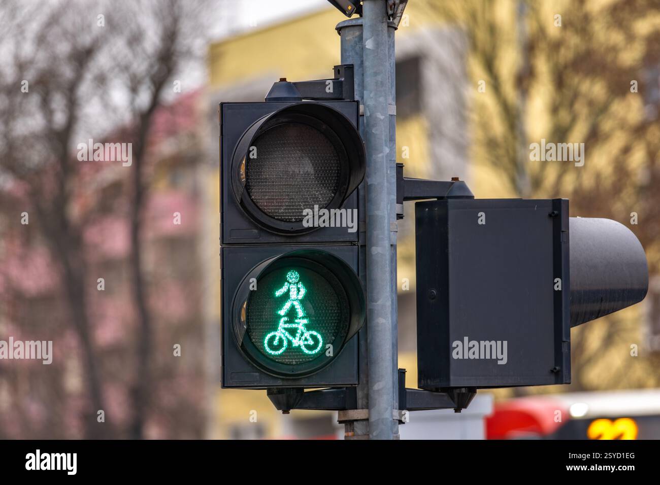 Traffic lights at pedestrian crossing, red light, green light, danger on the road, traffic light on a pole, Stock Photo