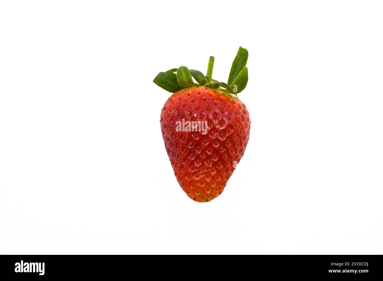 Single ripe strawberry isolated on a plain white background. Copy space. No people. Stock Photo
