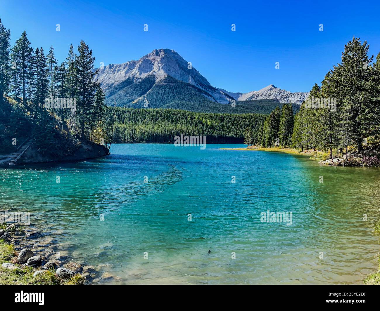 A scenic turquoise lake reflects the surrounding dense evergreen forest and rugged mountains. The clear blue sky enhances the natural beauty of this a - Smartphone Captured Stock Image