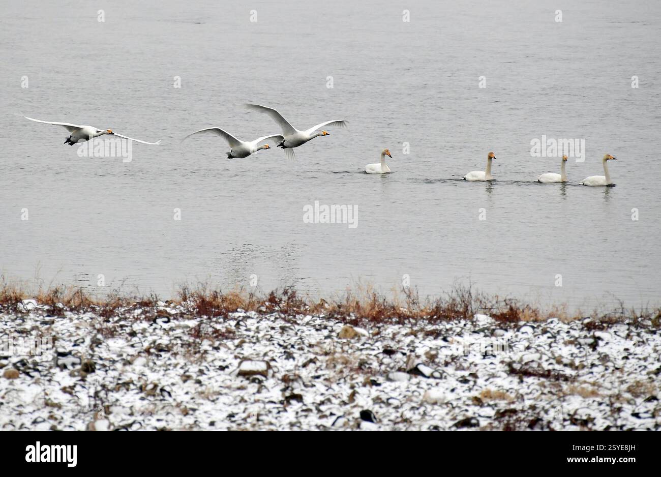 Judo club Hlohovec 9-11.8.2024 🏕️⛺🥋🤸🤾🧍🤽🪂, image size:1300x938