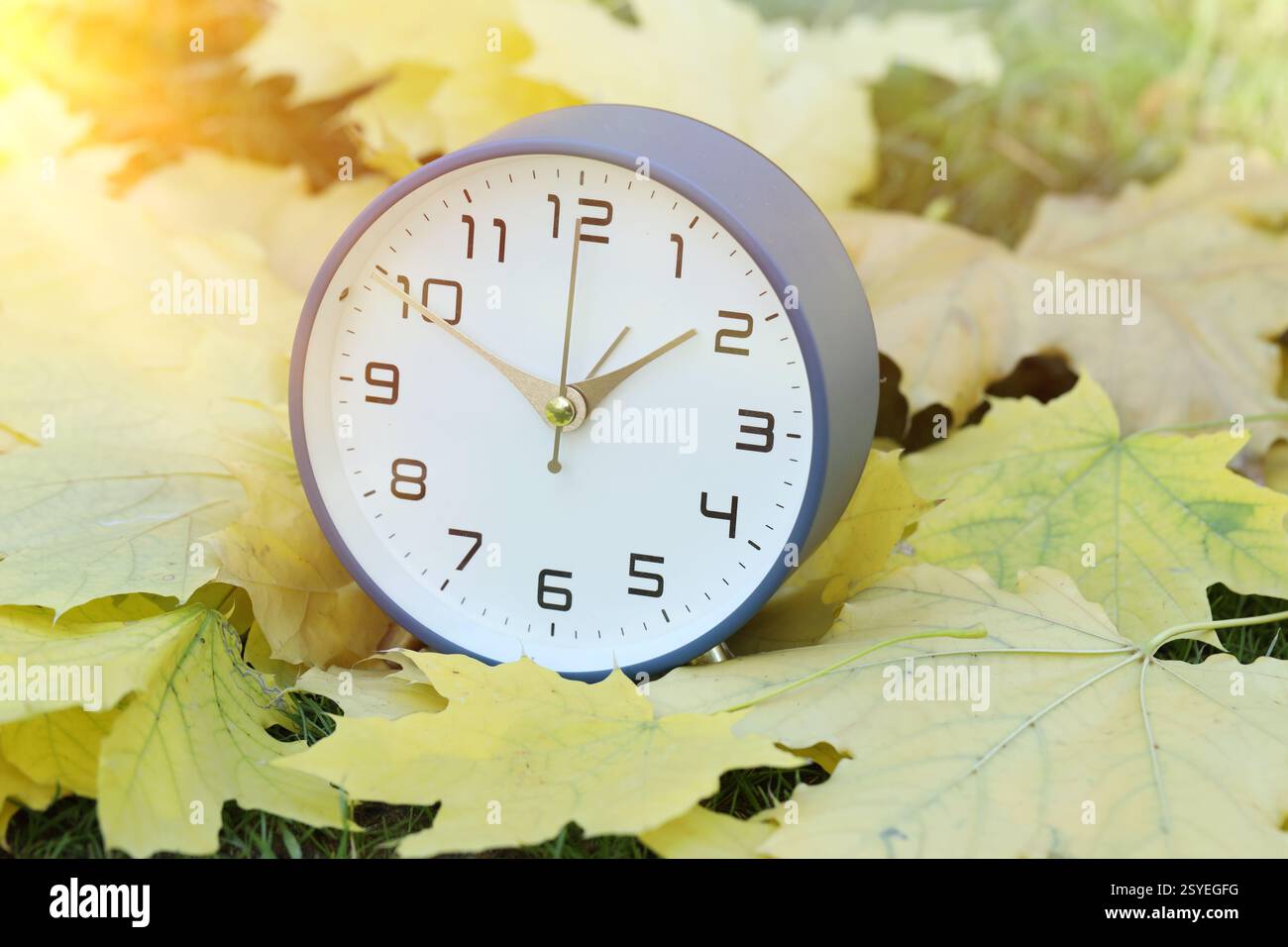 Autumn time. Alarm clock among fallen leaves on green grass, closeup Stock Photo