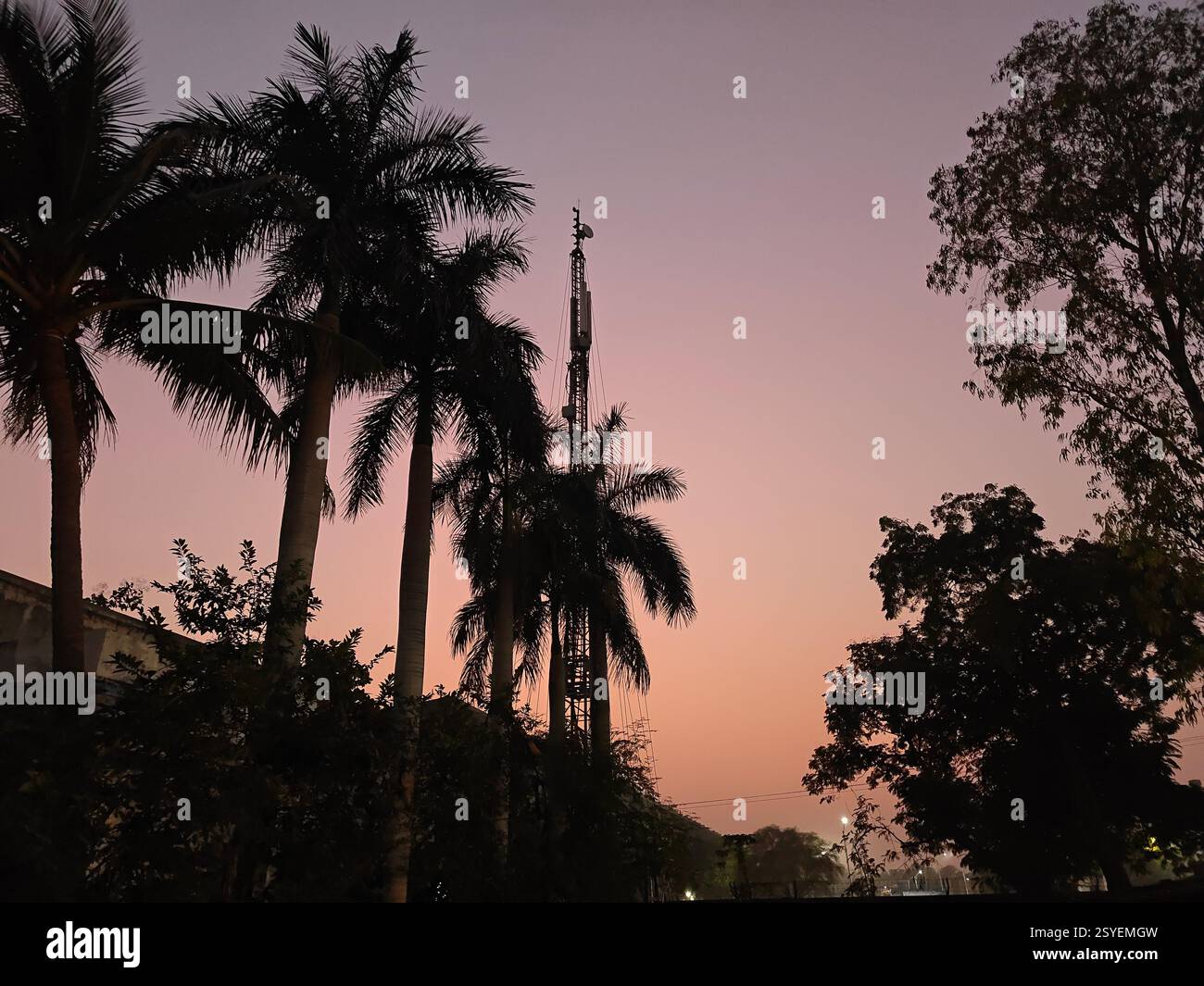 Jodhpur dairies - Smartphone Captured Stock Image