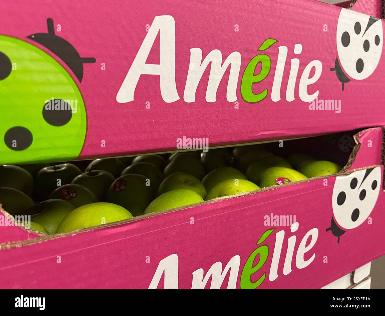 green apples, Granny Smith, apples, Amelie B.V., Dutch distributor, Netherlands, fruits, warehouse, agriculture, fruit supply, logistics, distribution - Smartphone Captured Stock Image