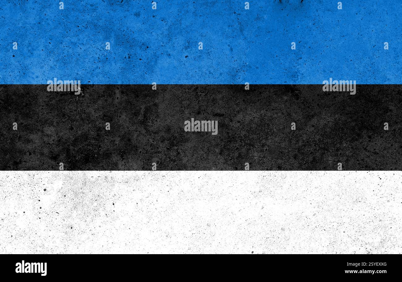 Flag of Estonia painted on the concrete wall Stock Photo - Alamy