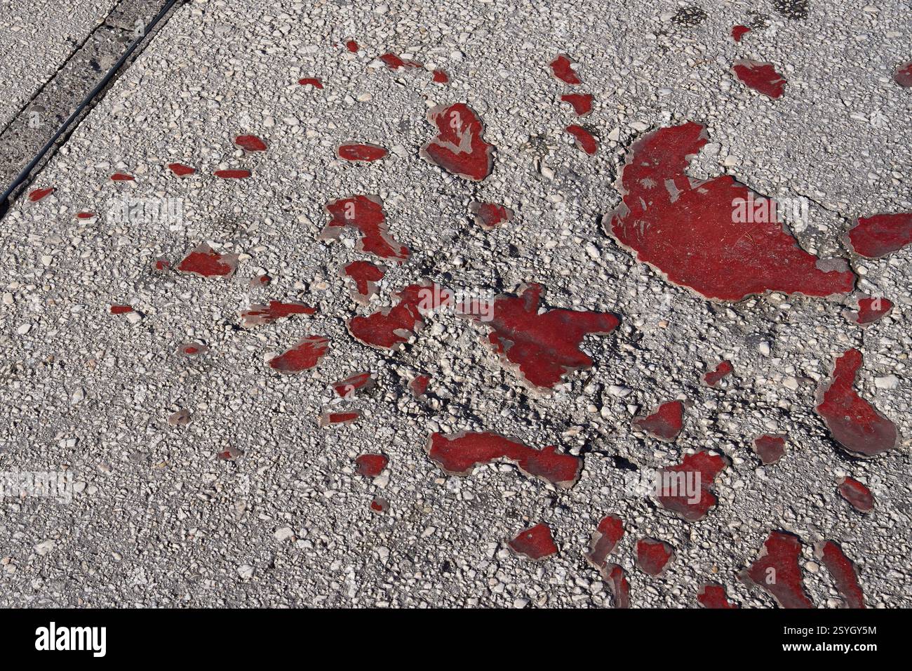 Rotem rosen hi-res stock photography and images - Alamy