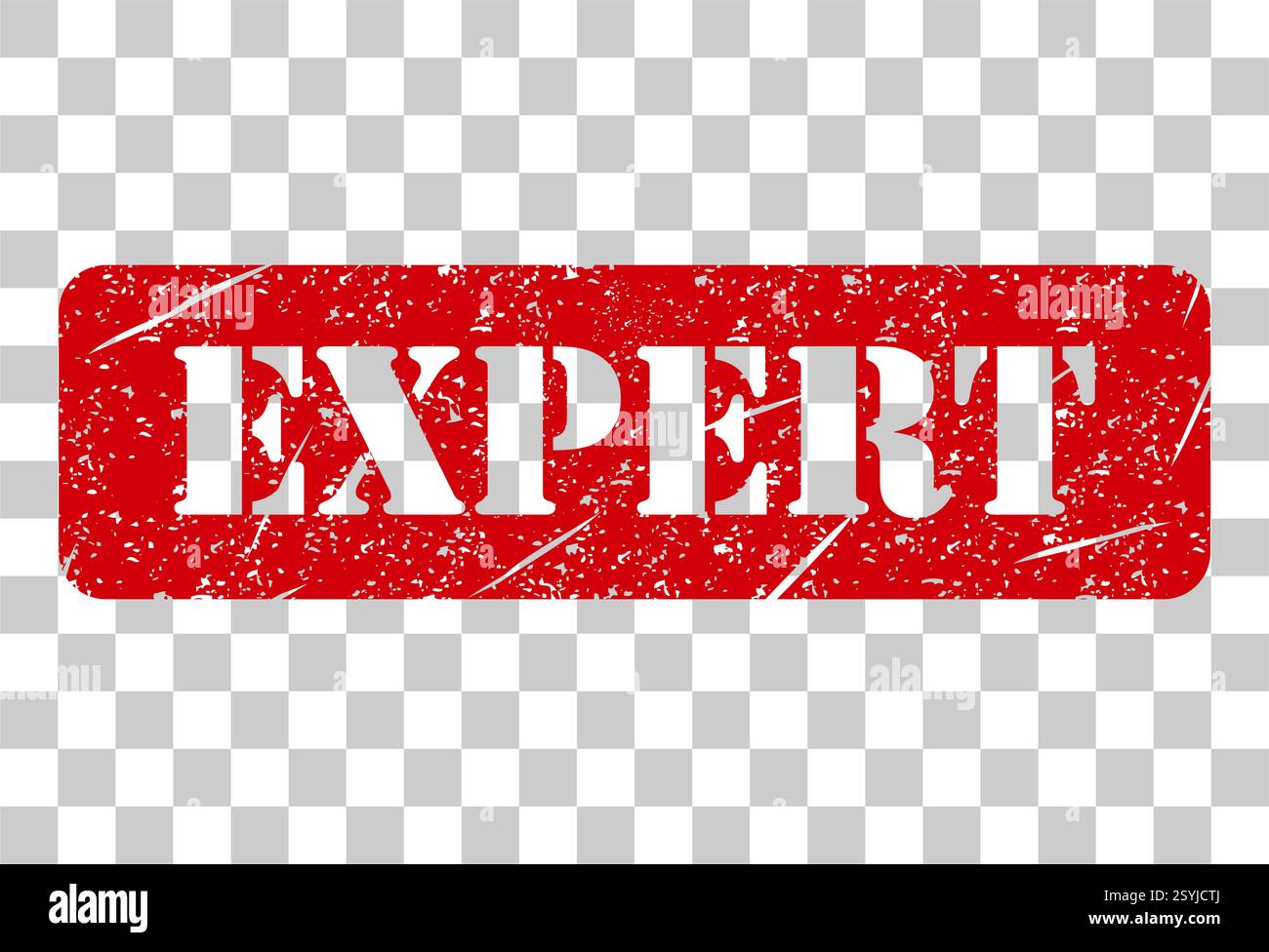 Expert stamp symbol, label sticker sign button, text banner vector illustration . Stock Vector