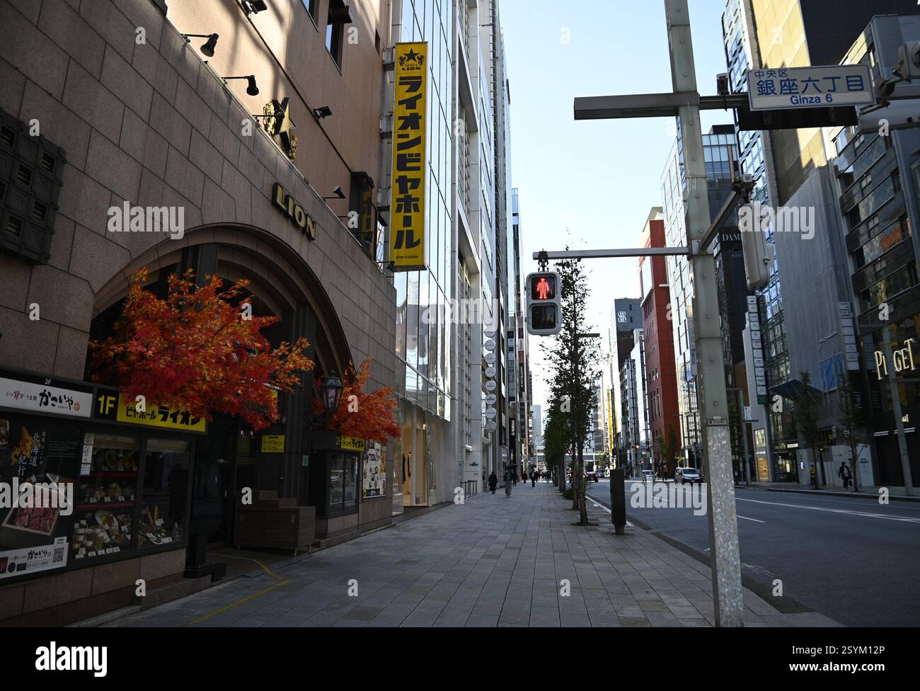 Chuo dori avenue ginza hi-res stock photography and images - Alamy