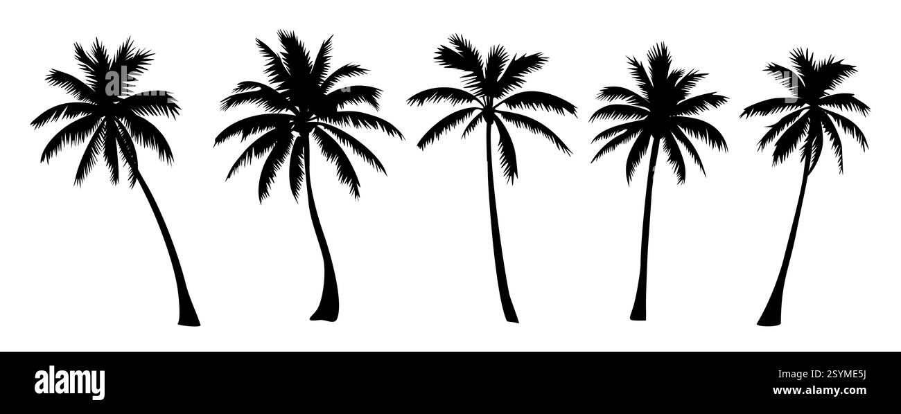 Set of different palm tree black silhouettes Stock Vector Image & Art ...