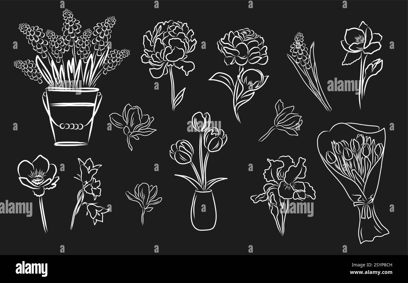Doodle elegant spring flowers set. Vector hand drawn design of magnolia ...