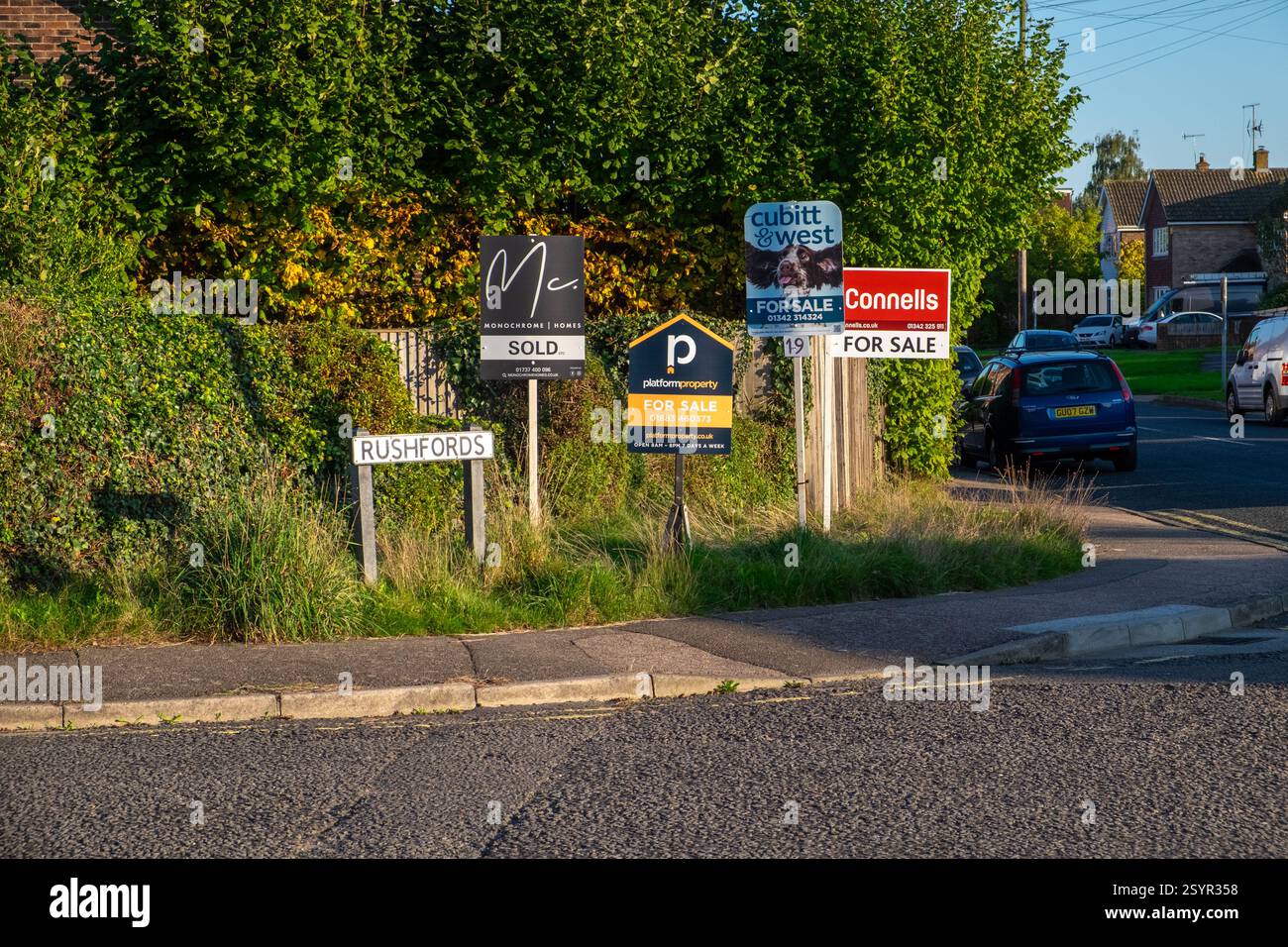 House for sale signs in grass verge in Surrey, England, UK Stock Photo
