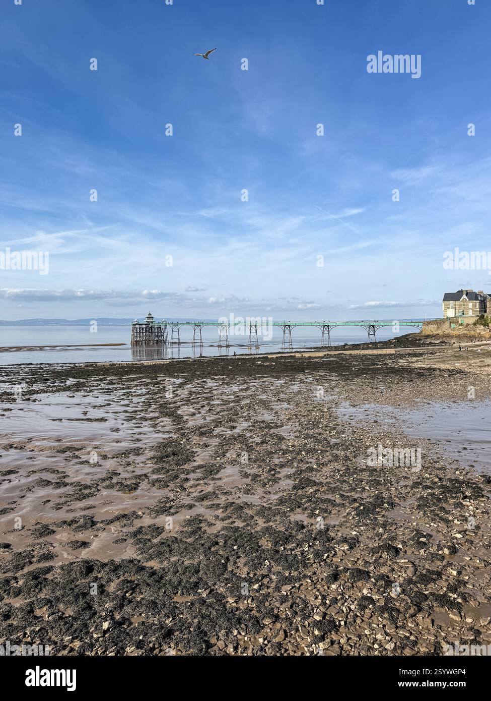 Low tide reveals a rocky beach, Clevedon pier and people walking.  Beautiful blue sky. - Smartphone Captured Stock Image