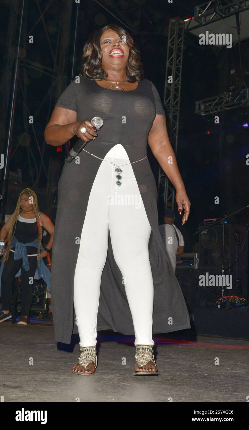 LOS ANGELES, CA -JULY 23: Singer Angie Stone performs at the 1st Annual ...