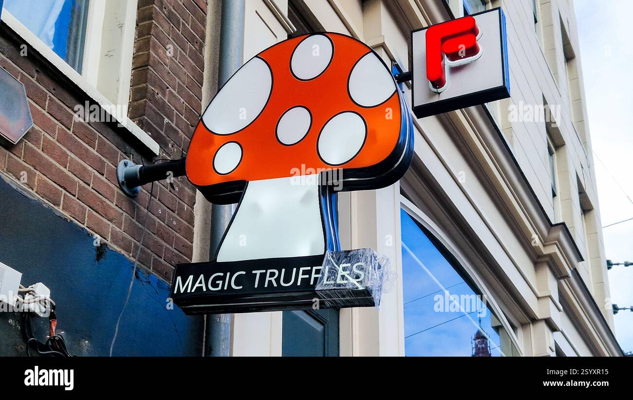 Amsterdam, Netherlands - December 3,  2024: Magic Truffles shop sign in Amsterdam. - Smartphone Captured Stock Image
