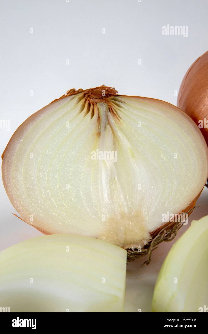 onion on white background Stock Photo - Alamy