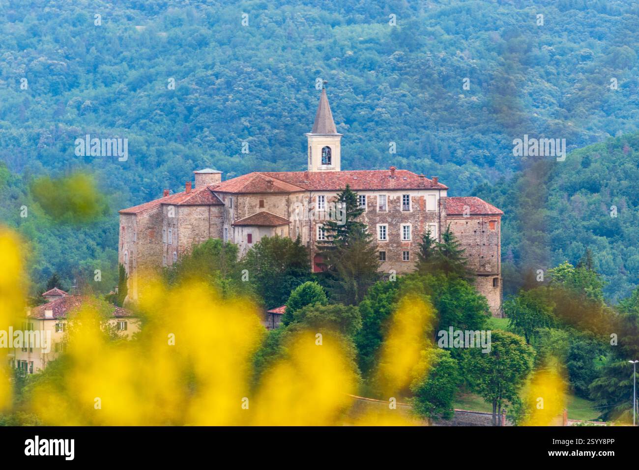 LAvender fields in the surrondings of Sale San Giovanni, Piedmont, Italy. Stock Photo