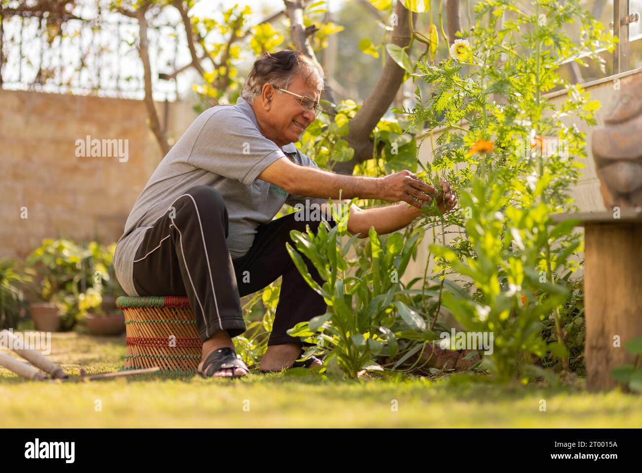 Portrait of senior man gardening at home Stock Photo