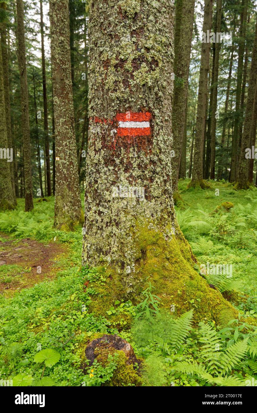 Gosau in Austria Stock Photo Alamy