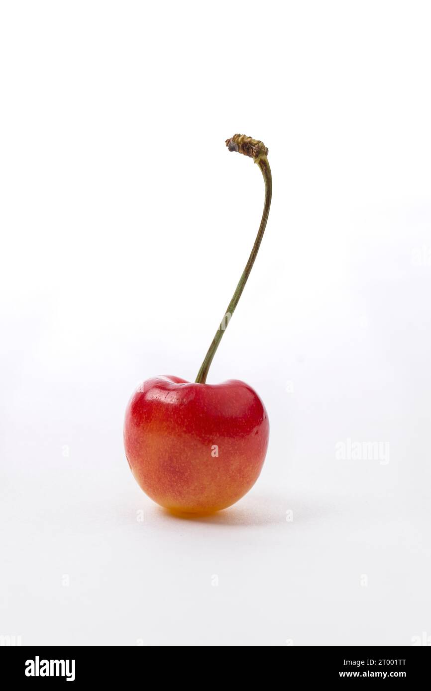 Cherry against white background. Stock Photo