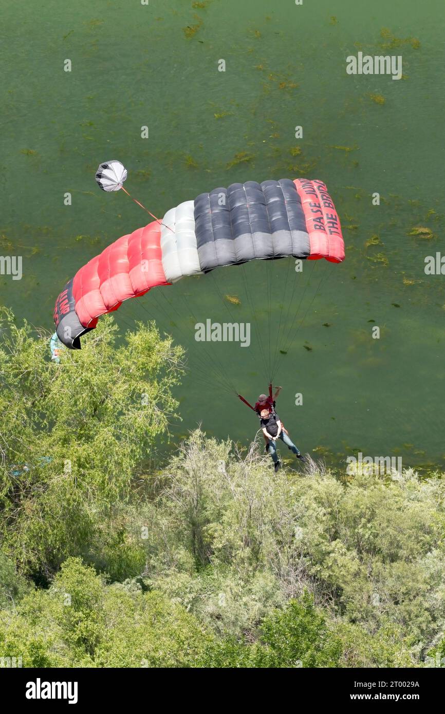 Tandem parachuters gliding over tree tops. Stock Photo
