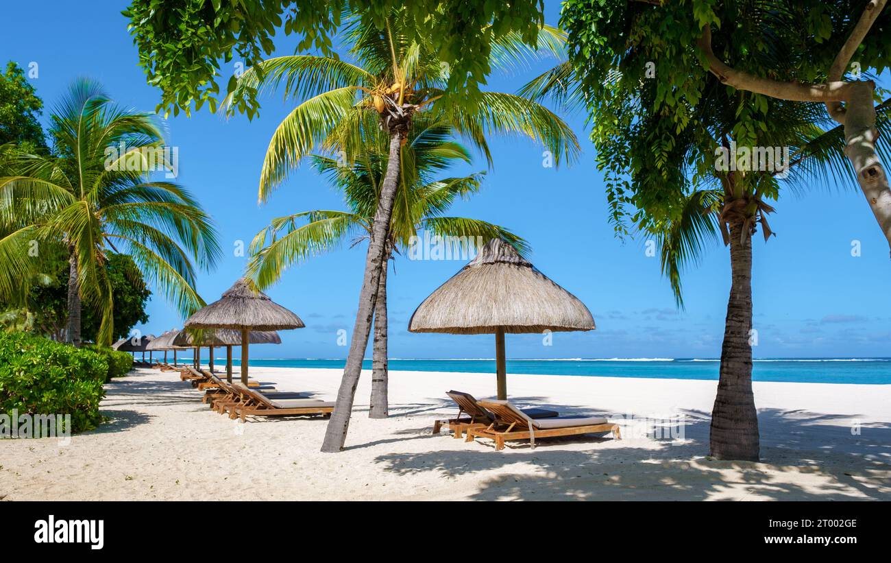 Le Morne Beach Mauritius Tropical Beach With Palm Trees And White Sand le-morne-beach-mauritius-tropical-beach-with-palm-trees-and-white-sand