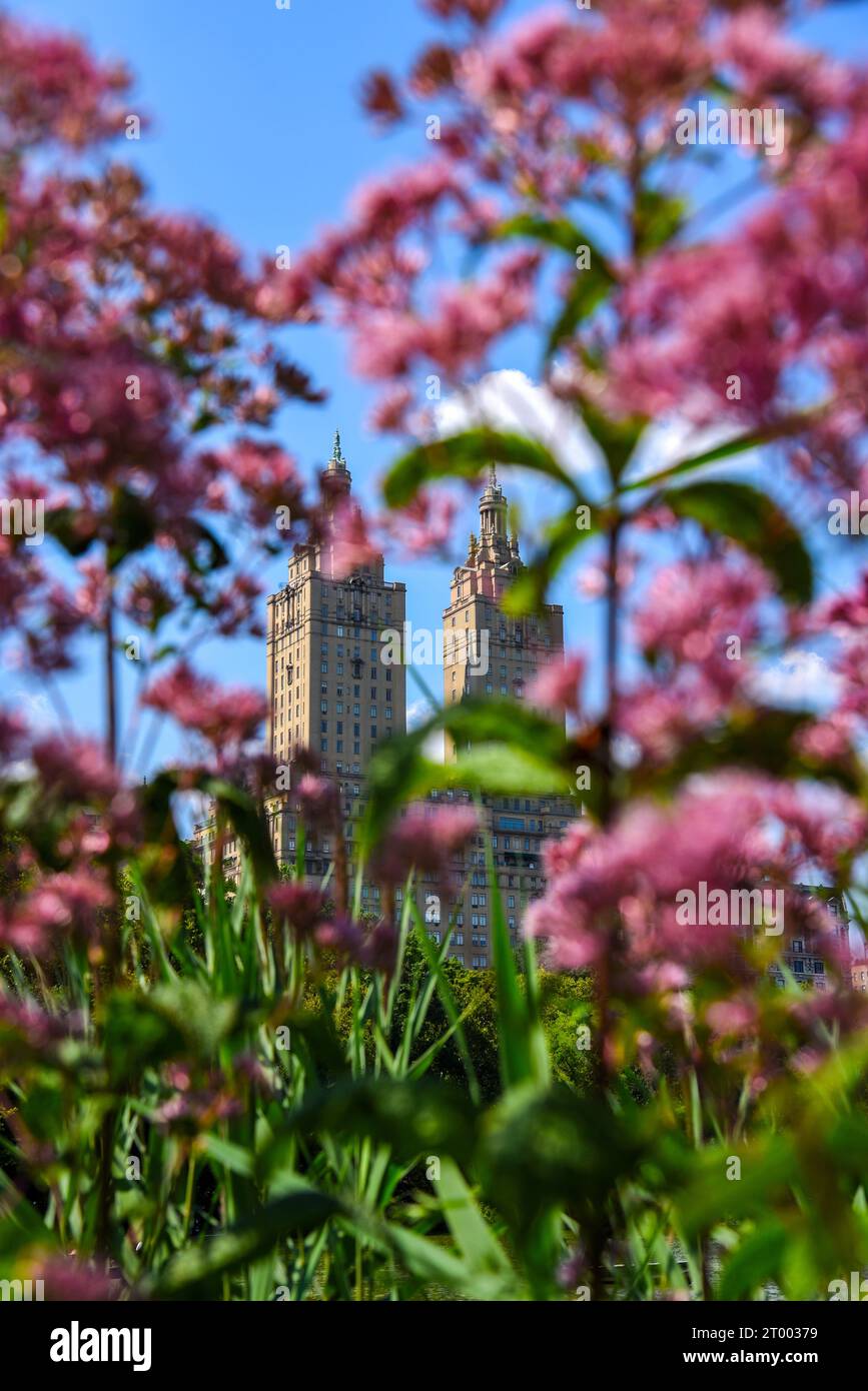 The San Remo Building in a Flower Frame Central Park, New York City