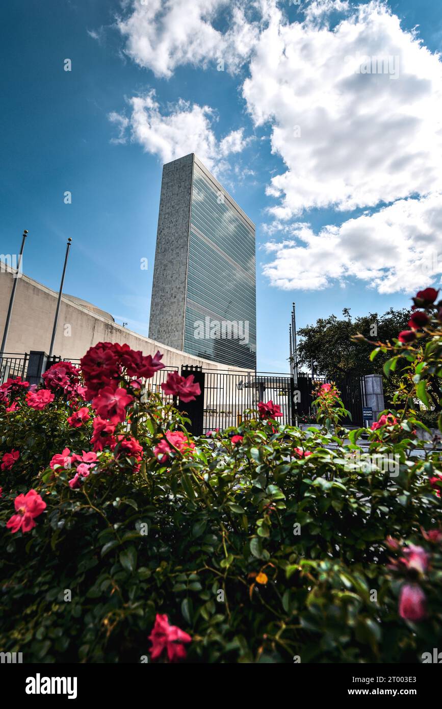 Flowers by the United Nations Secretariat Building Manhattan, New