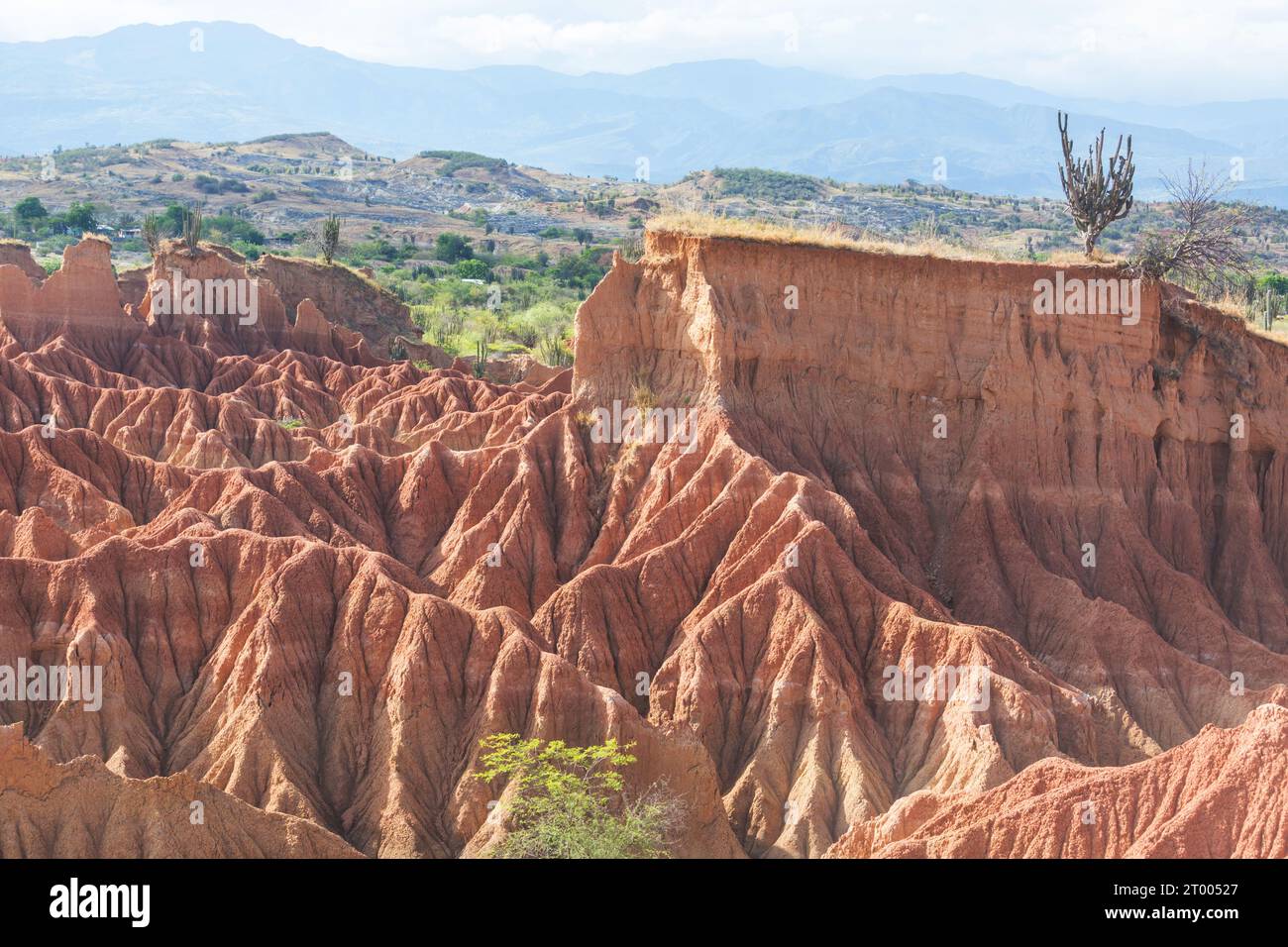 Tatacoa Stock Photo